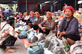 Rural market rich in traditional charm in Tuyen Quang province