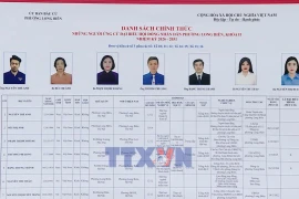Hanoi ensures democracy and fairness in election campaigning