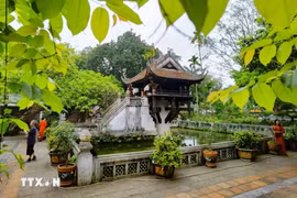 Hanoi tourism shines in 2024