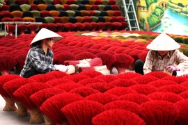 Hanoi steps up efforts to tap suburban tourism potential