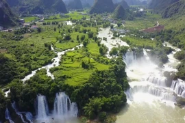 Vietnam tourism: Majestic nature