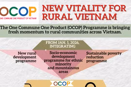 OCOP products: New vitality for rural Vietnam