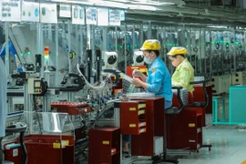 Foreign investors ready to pour capital into HCM City