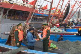 Steadfast support for fishermen