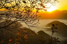 Sea of clouds at Keo Lom Pass in Dien Bien shines at dawn