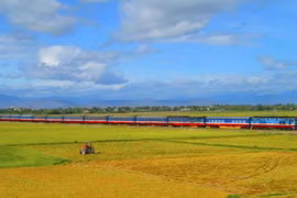 Extra train services for Lunar New Year 2025