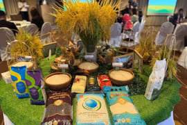 Vietnamese rice promoted in China’s Hong Kong