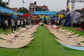 Kite festival recognised as national intangible cultural heritage