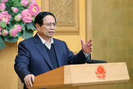 PM urges completion of Quang Trung Campaign before Party Congress, Lunar New Year