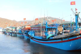 Khanh Hoa steps up efforts to remove IUU “yellow card”