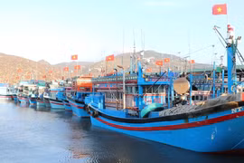 Khanh Hoa steps up efforts to remove IUU “yellow card”