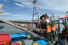 Coastal provinces implement urgent measures to cope with Storm No. 5