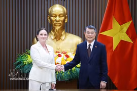 Vietnam, New Zealand have ample room to boost trade, investment cooperation: PM