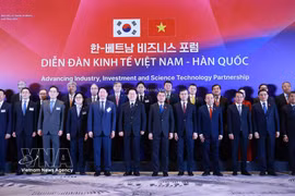 Vietnam, RoK eye stronger industry, investment and science technology ties