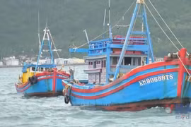 Border guard steps up efforts against IUU fishing