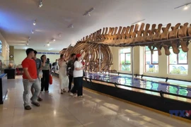 Exploring Nha Trang Museum of Oceanography