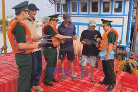 Mekong Delta province supports fishermen in combating IUU fishing