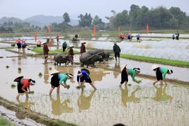 Hoa Binh boosts tourism economy through festivals