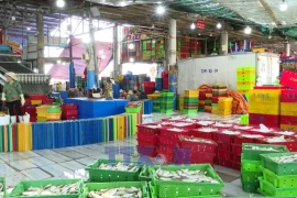 Ho Chi Minh City steps up inspections to combat IUU fishing