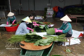 Mesmerising tourism products offered in ancient capital