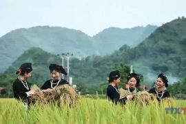 Tay people link cultural preservation with community-based tourism