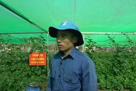 Vietnamese soldiers transform barren African land into thriving vegetable gardens