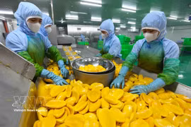 Efforts made to reinforce foundations of Vietnam’s fruit, vegetable value chains