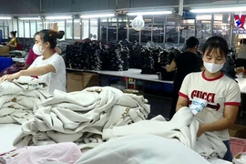 Vietnam’s garment-textile exports expected to reach 44 bln USD 