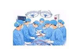 Organ transplantation in Vietnam in era of advanced medicine