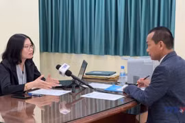 The Foreign Ministry's booth draws visitors (Photo: VNA)