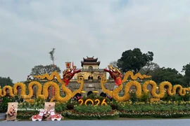 Visitors amazed by royal Tet celebrations at Thang Long imperial citadel