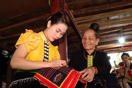 Preserving Thai ethnic brocade weaving