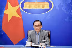Acting Minister of Foreign Affairs Le Hoai Trung (Photo: VNA)