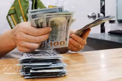 Reference exchange rate up 16 VND on August 19 (Photo: VNA)