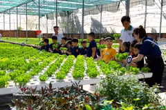 Visitors tour a high-tech vegetable farming model at Tuan Ngoc Agricultural Cooperative in Ho Chi Minh City. (Illustrative photo: VNA)