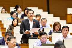 Deputy Duong Khac Mai from Lam Dong province speaks at the session. (Photo: VNA)