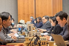 Participants at the WTO’s first regular meeting in 2026 in Geneva (Photo: VNA)