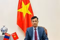 Vietnamese Ambassador to Mongolia Nguyen Tuan Thanh (Photo: VNA)