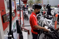 Indonesia expects 8.84 billion USD in savings from B50 biodiesel rollout
