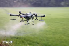 Farmers in An Giang province are using drones to spray pesticides, saving costs, effort, and time. (Photo: VNA)