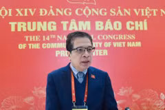 Ambassador Dang Minh Khoi, a delegate from the Party Organisation of the Ministry of Foreign Affairs, speaks to the Vietnam News Agency (VNA) on the sidelines of the 14th National Party Congress. (Photo: VNA)