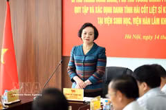 Deputy Prime Minister Pham Thi Thanh Tra speaks at the working session (Photo: VNA)
