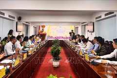 At the working session (Photo: VNA)