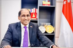 Singaporean Ambassador to Vietnam Jaya Ratnam (Photo: VNA)