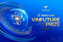 Illustrative image (Photo: VNA)