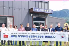 A delegation from the Lai Chau ginseng association learns about ginseng processing technology in the Republic of Korea. (Photo: baolaichau.vn)