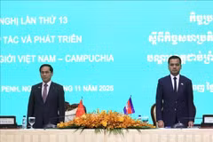 Deputy Prime Minister Bui Thanh Son (L) and Cambodian Deputy Prime Minister and Minister of Interior Sar Sokha co-chair the plenary session of the conference. (Photo: VNA)