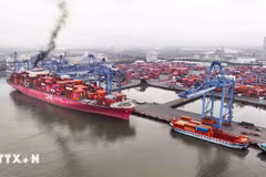 A view of Cai Mep -Thi Vai International Port (Photo: VNA)