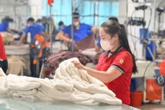 To achieve the textile and garment industry's full-year export target of 48-49 billion USD, monthly export turnover will need to average 4.31-4.46 billion USD over the remaining seven months (Photo: VietnamPlus)