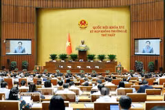 A view of a National Assembly meeting (Photo: VNA)